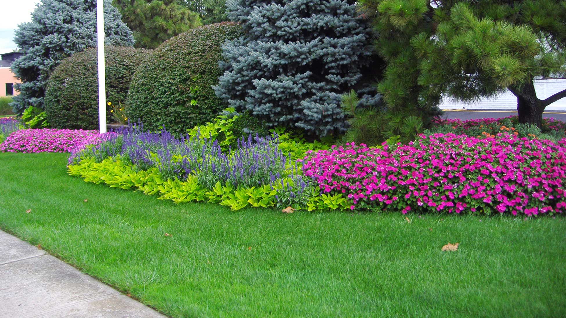 Our expert designers create softscapes that grab attention and increase curb appeal for your property.