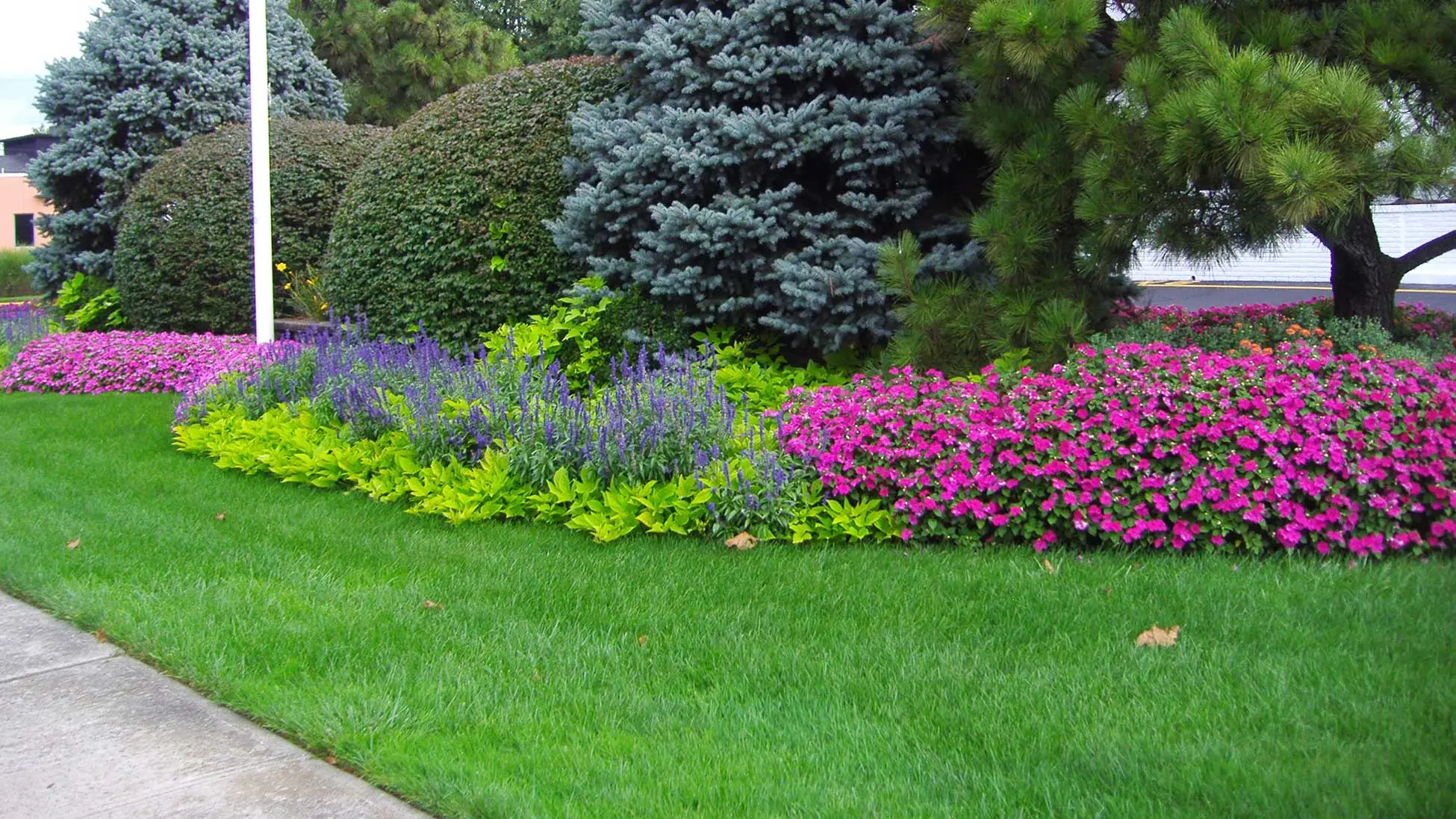 Our expert designers create softscapes that grab attention and increase curb appeal for your property.
