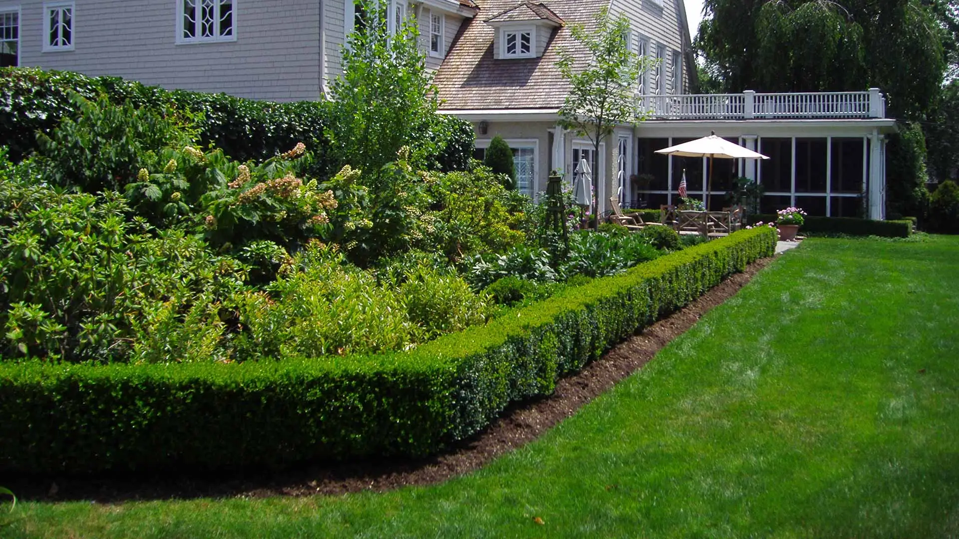 Healthy home lawn and maintained landscaping in Springfield Township, NJ.