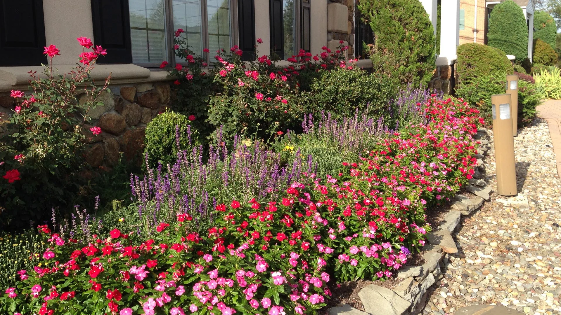 Beautiful annuals planted at a commercial property in Warren, NJ.