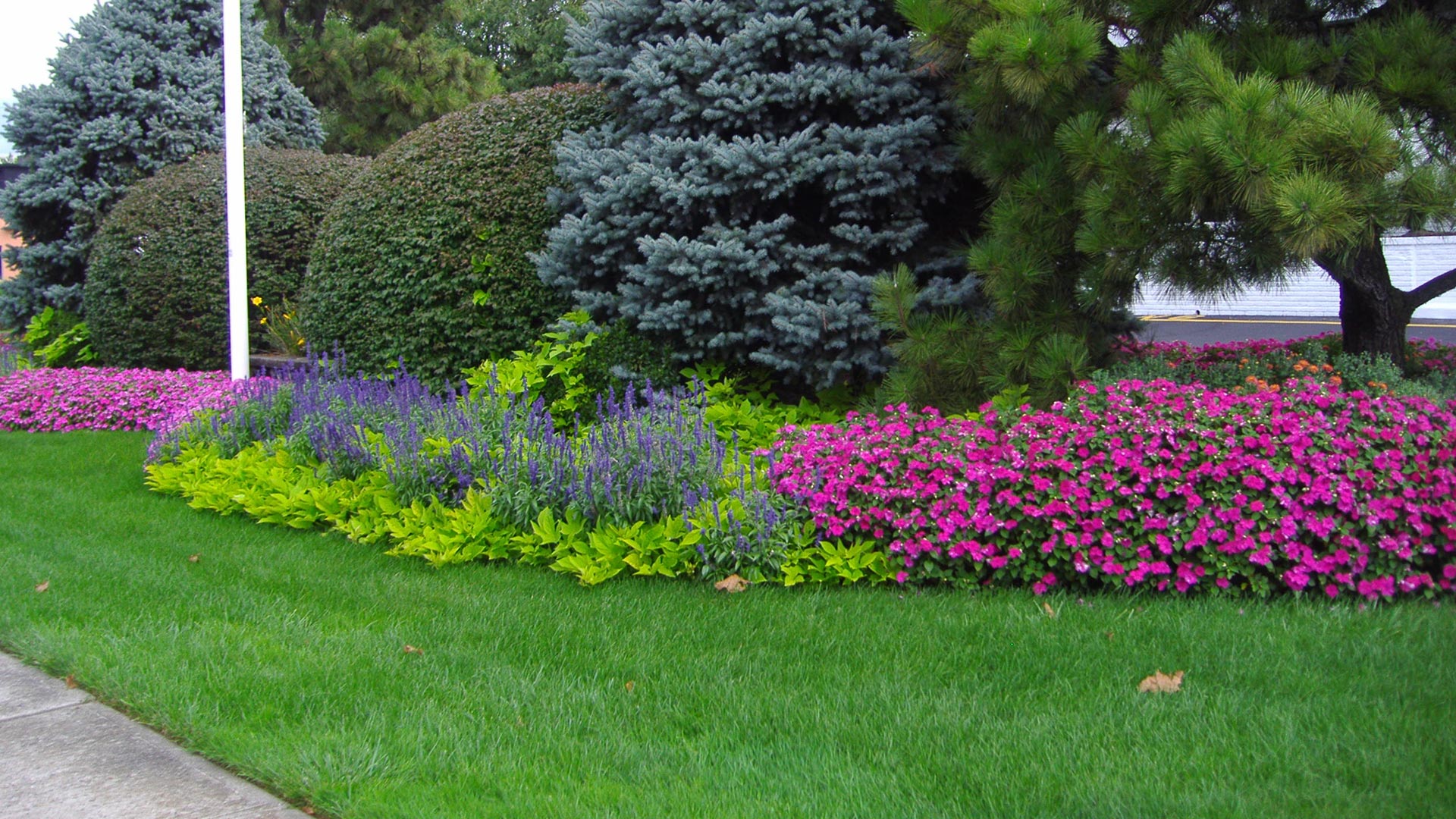 Areas that we service in and around Westfield, NJ.