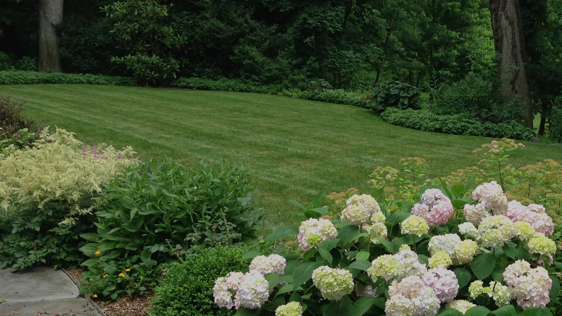 New Providence, NJ home lawn with regular care and maintenance.