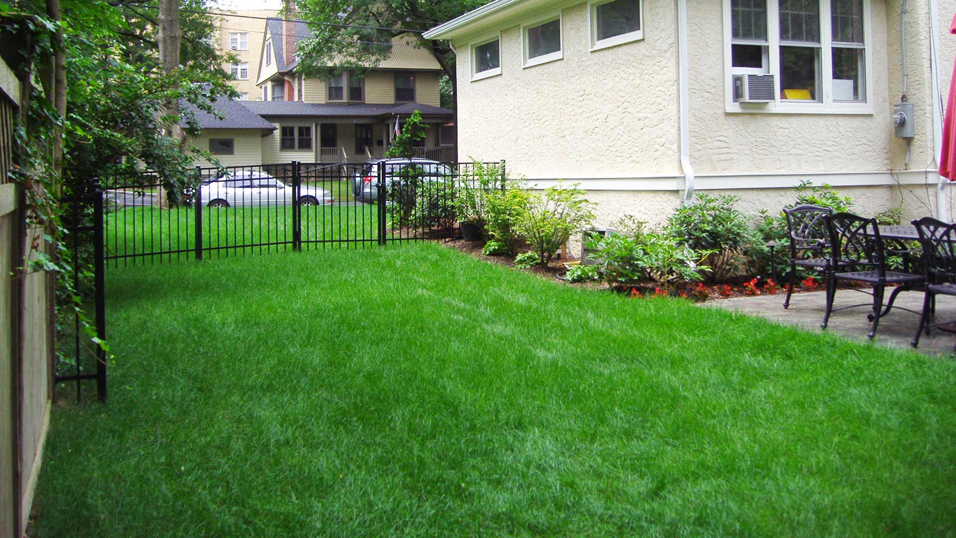 This thick lawn is the result of lawn renovation services from Stream Line Lawn & Landscape.