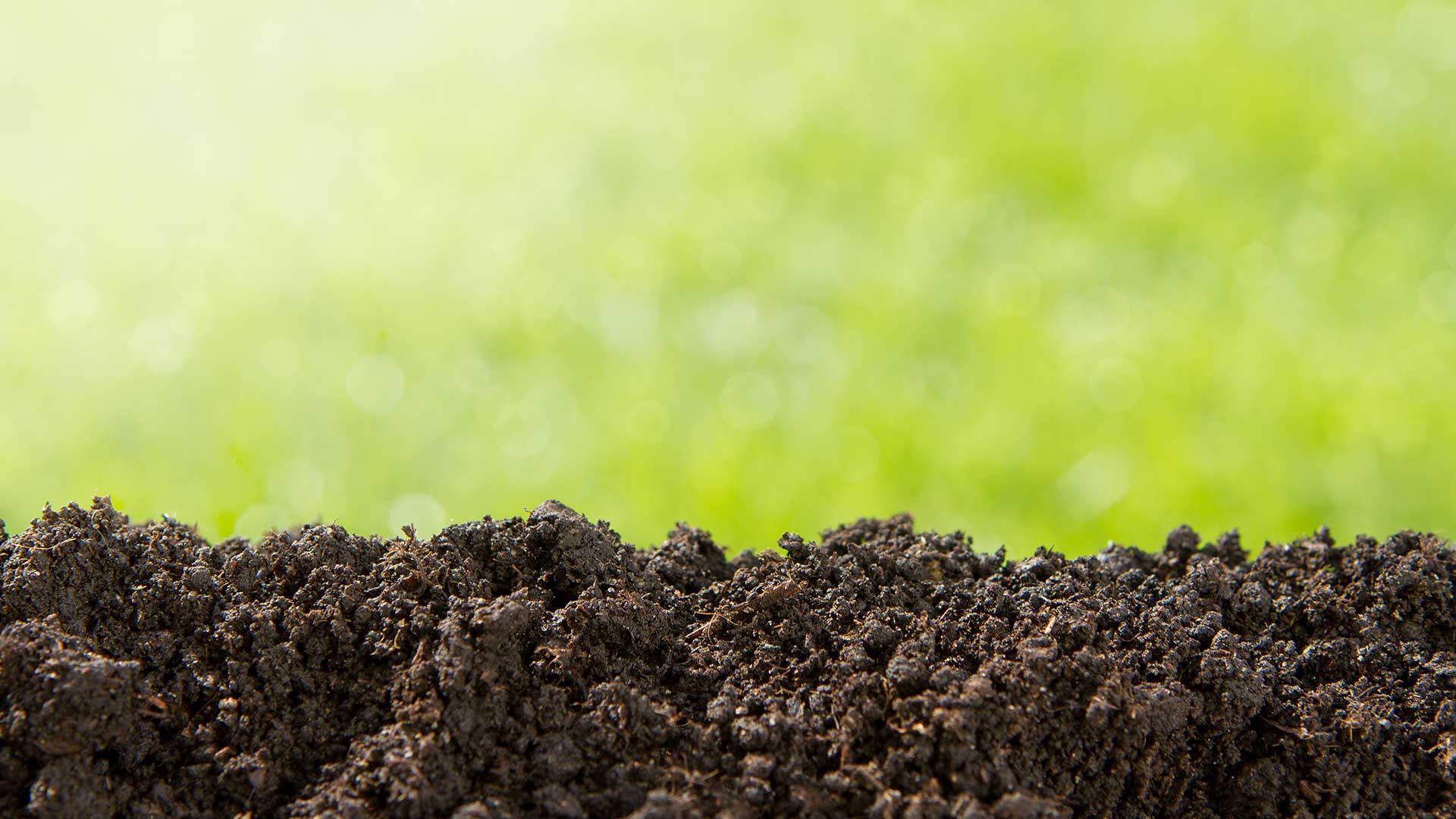Topdressing for your lawn increases the health of your grass and soil in Warren, NJ.