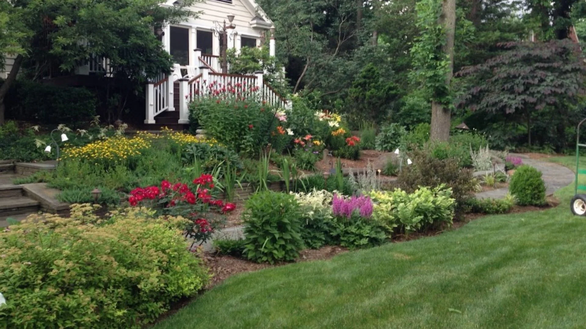 What Nutrient Deficiency Looks Like in Trees & Shrubs