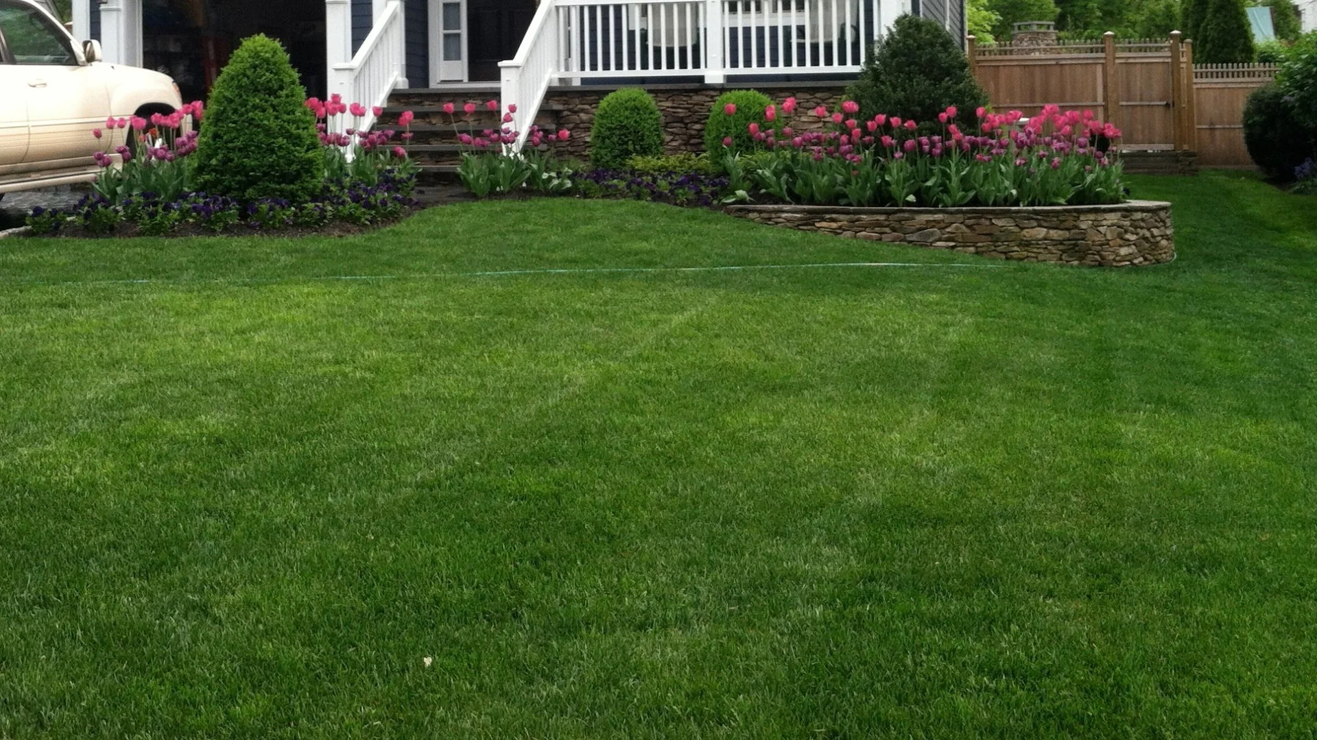 Factors That Impact the Cost of Professional Sod Installation