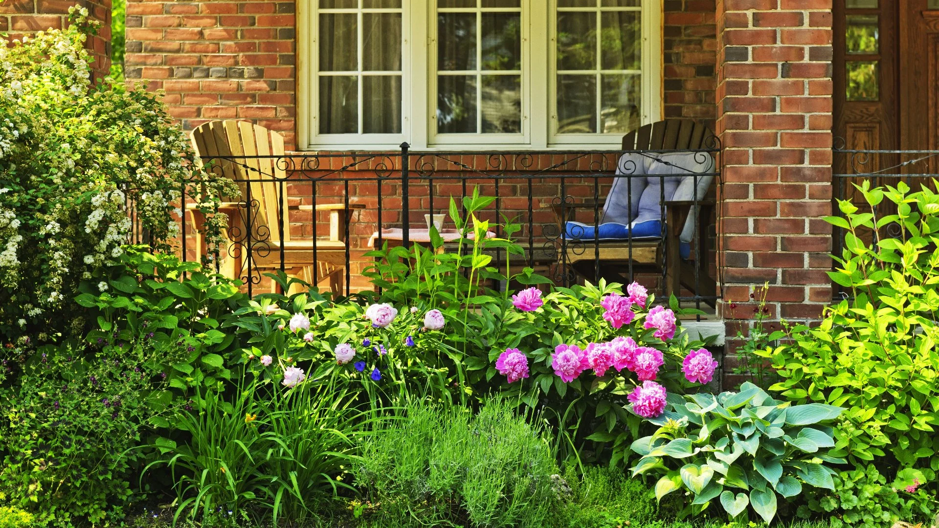 Struggling To Keep Your Lawn Lush & Green? This Might Be the Issue