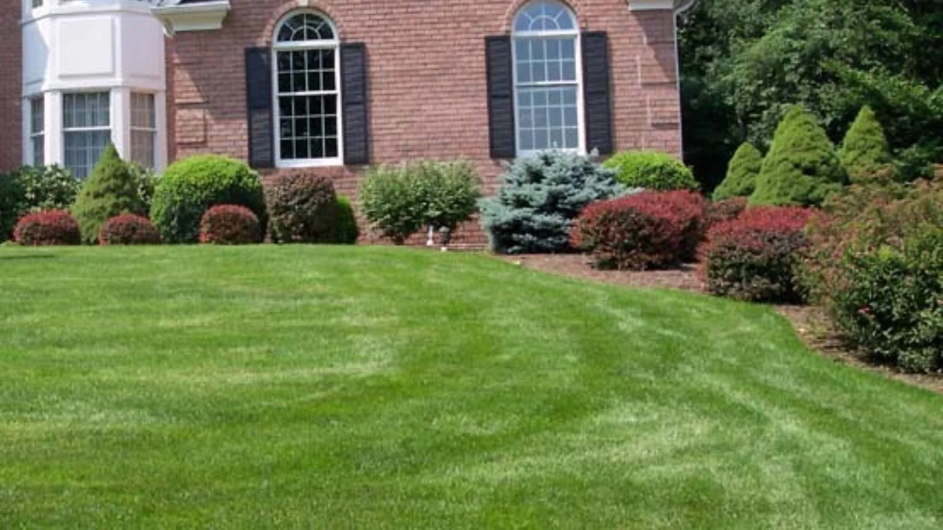 Fall Lawn Fertilization: Is There a Risk of Fertilizing Too Late?