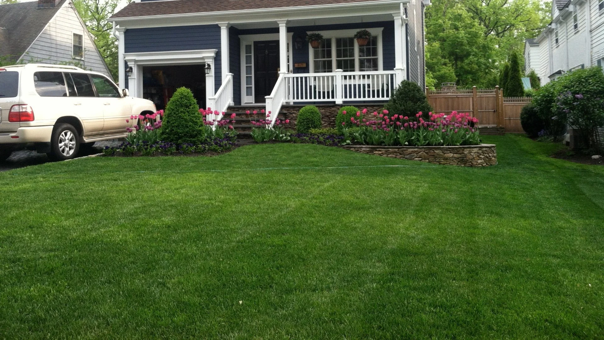 Overfertilization: The Negative Impacts It Has on Your Lawn