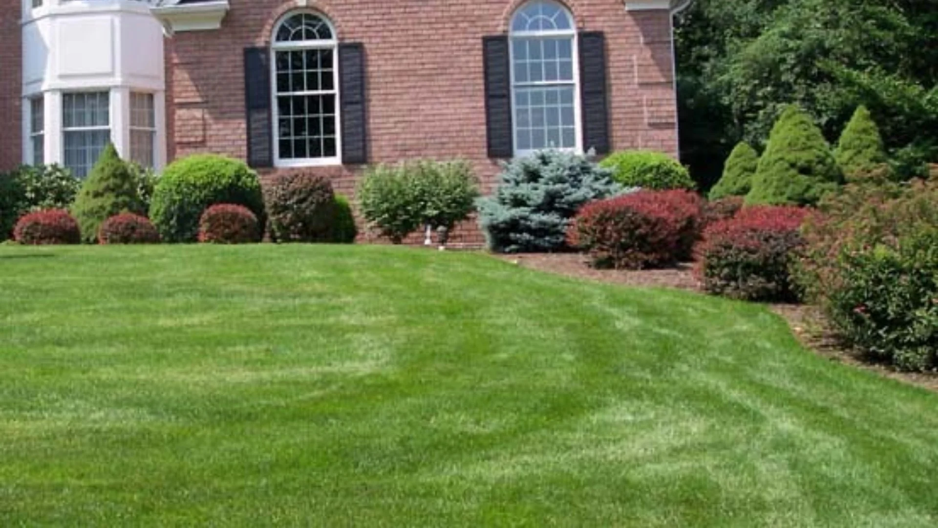 What's the Best Type of Fertilizer to Use After Overseeding?