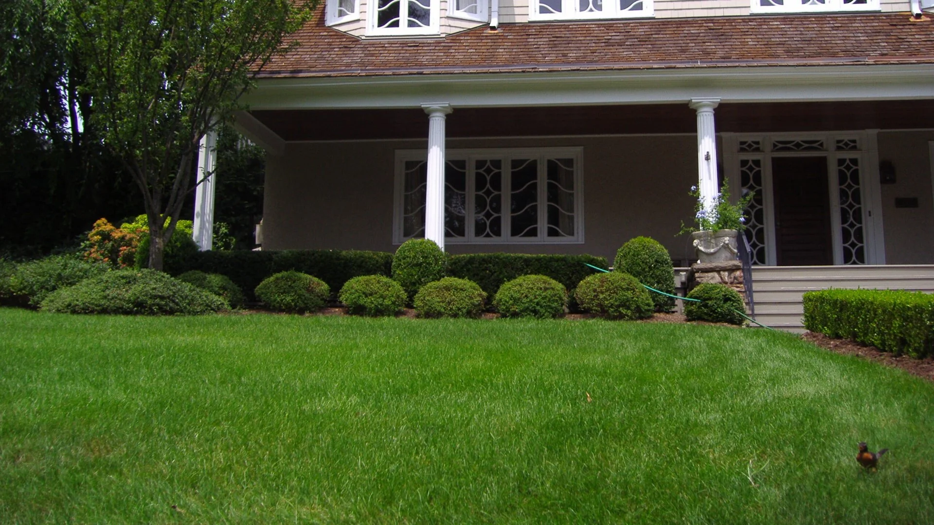 How Much Can You Expect to Pay for a Fall Yard Cleanup Service?