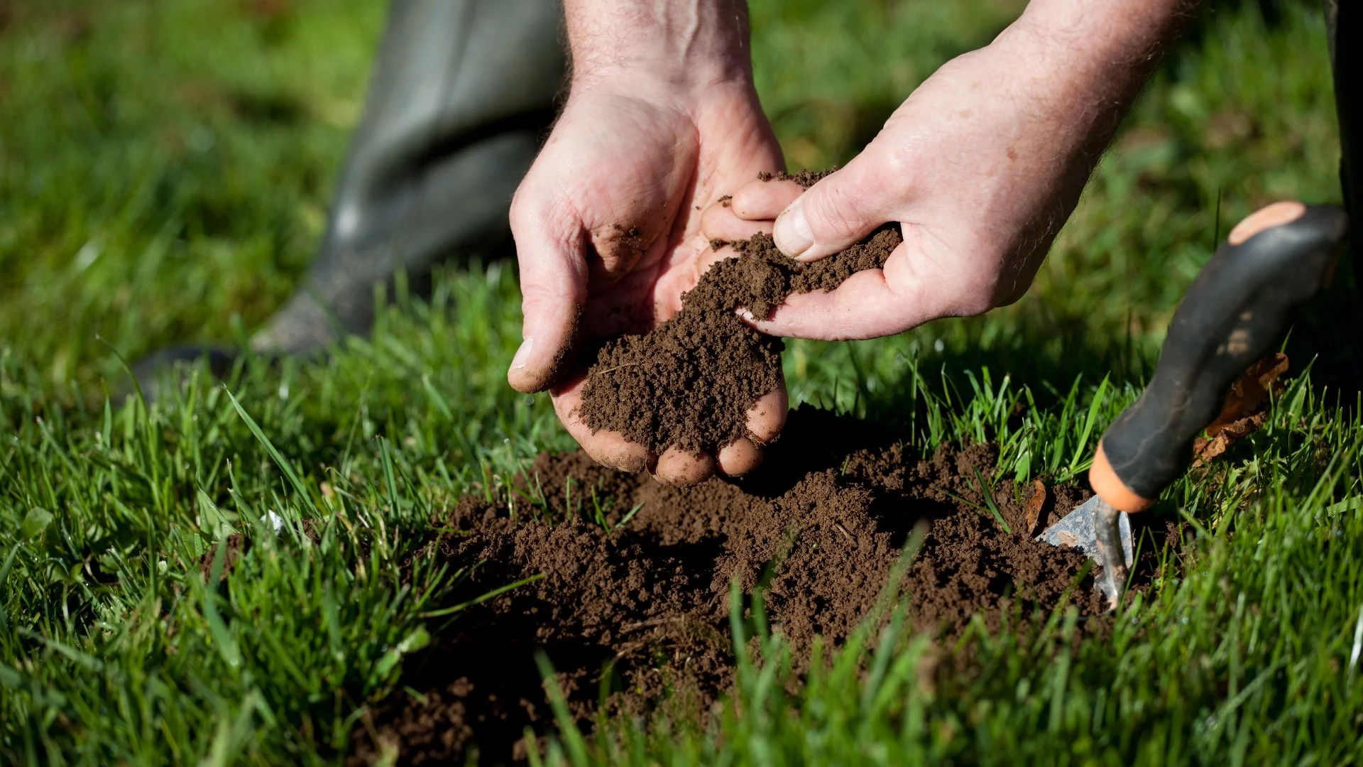 Improving Lawn Health - Is Soil Testing Worth the Time & Effort?