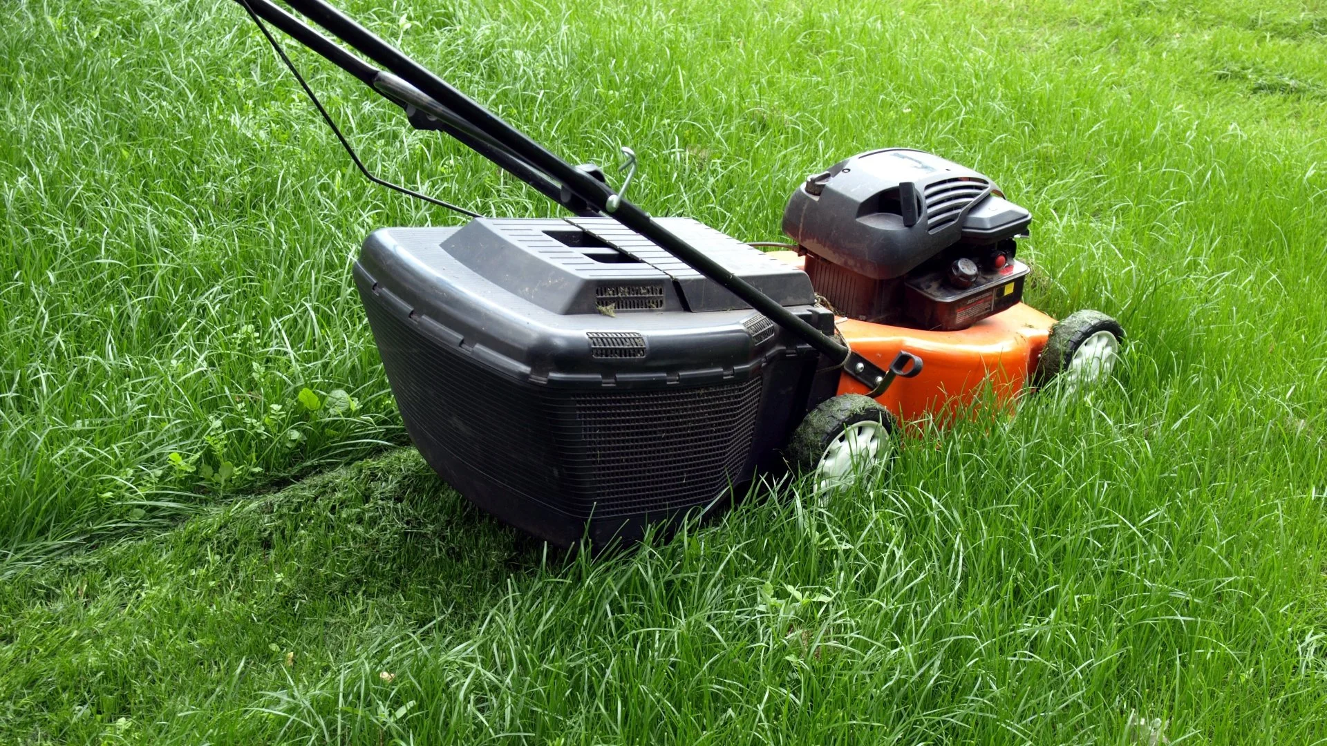 Mowing After Overseeding: What You Need to Know