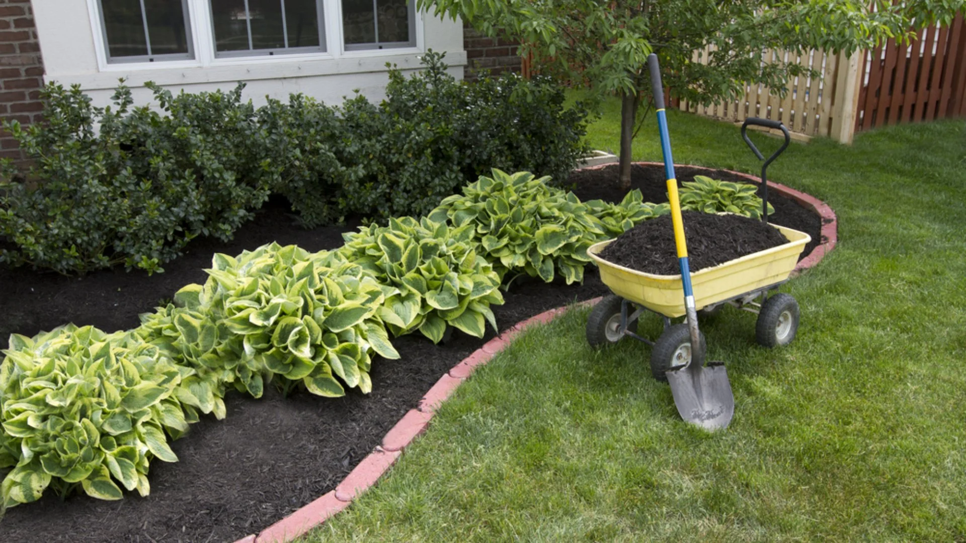 Mulch Lifespan: How Long Can Mulch Stay Effective?
