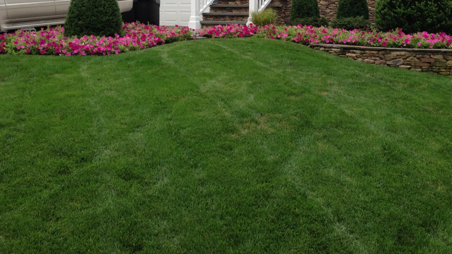Mowing Your New Sod: What to Know to Ensure It's Done Right