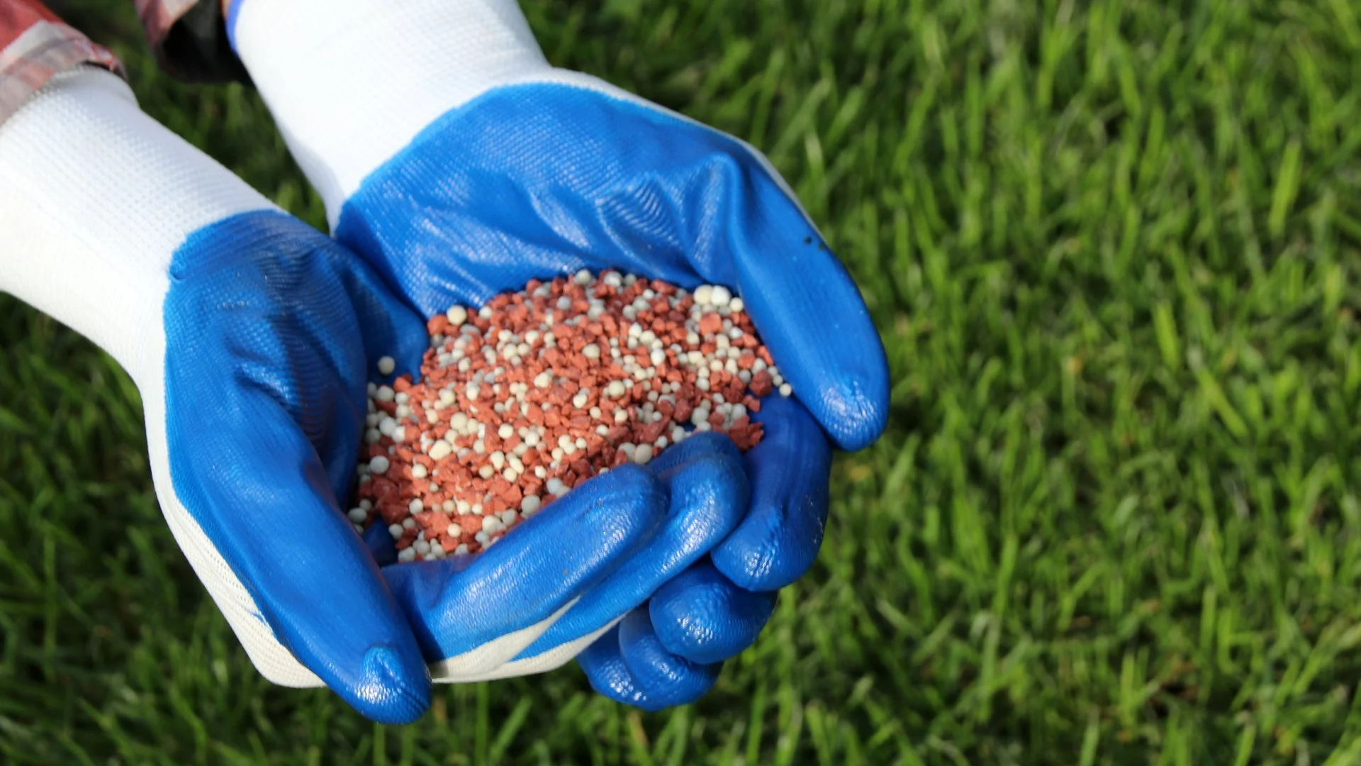 Should I Fertilize My Lawn in New Jersey During the Fall Season?