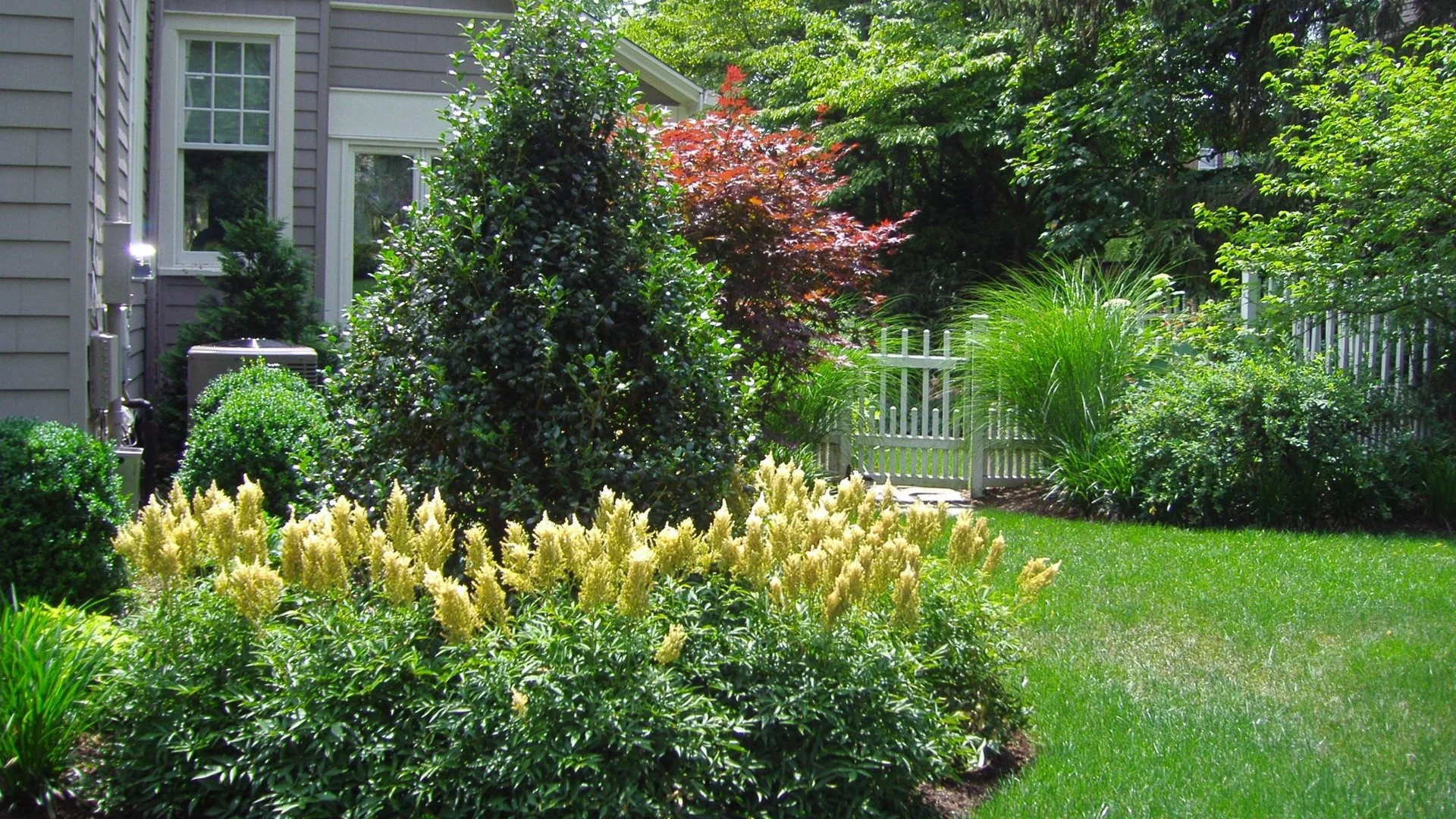 Does Pruning Really Help Keep Your Plants Healthy?