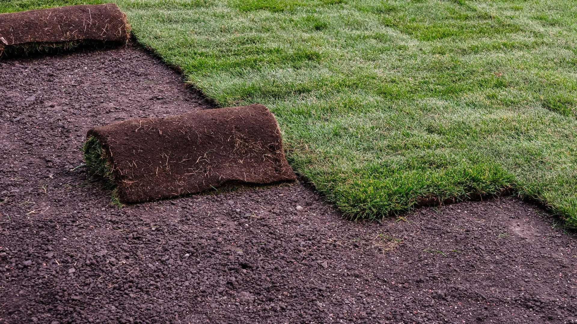 What's a Good Watering Schedule for Newly Installed Sod?