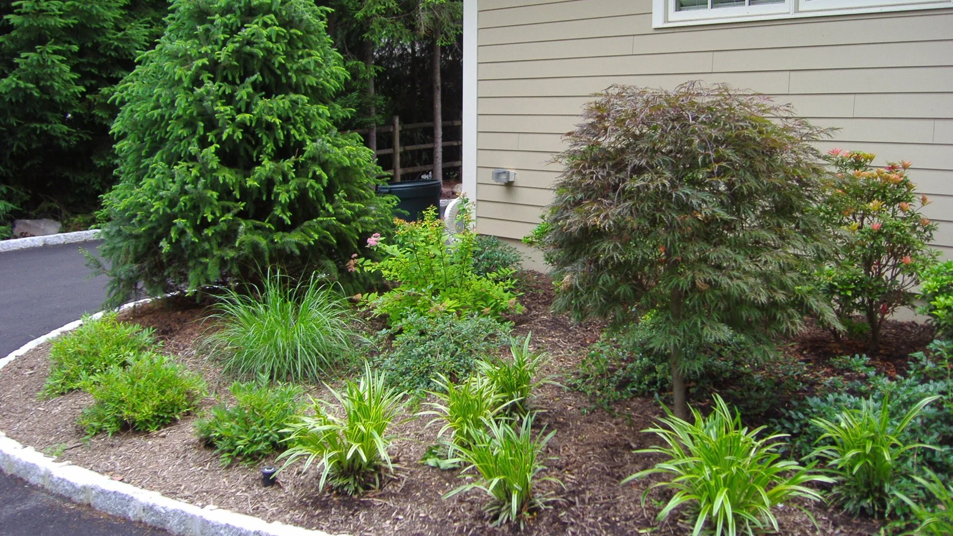 Tree & Shrub Fertilization: Is It Really Necessary?