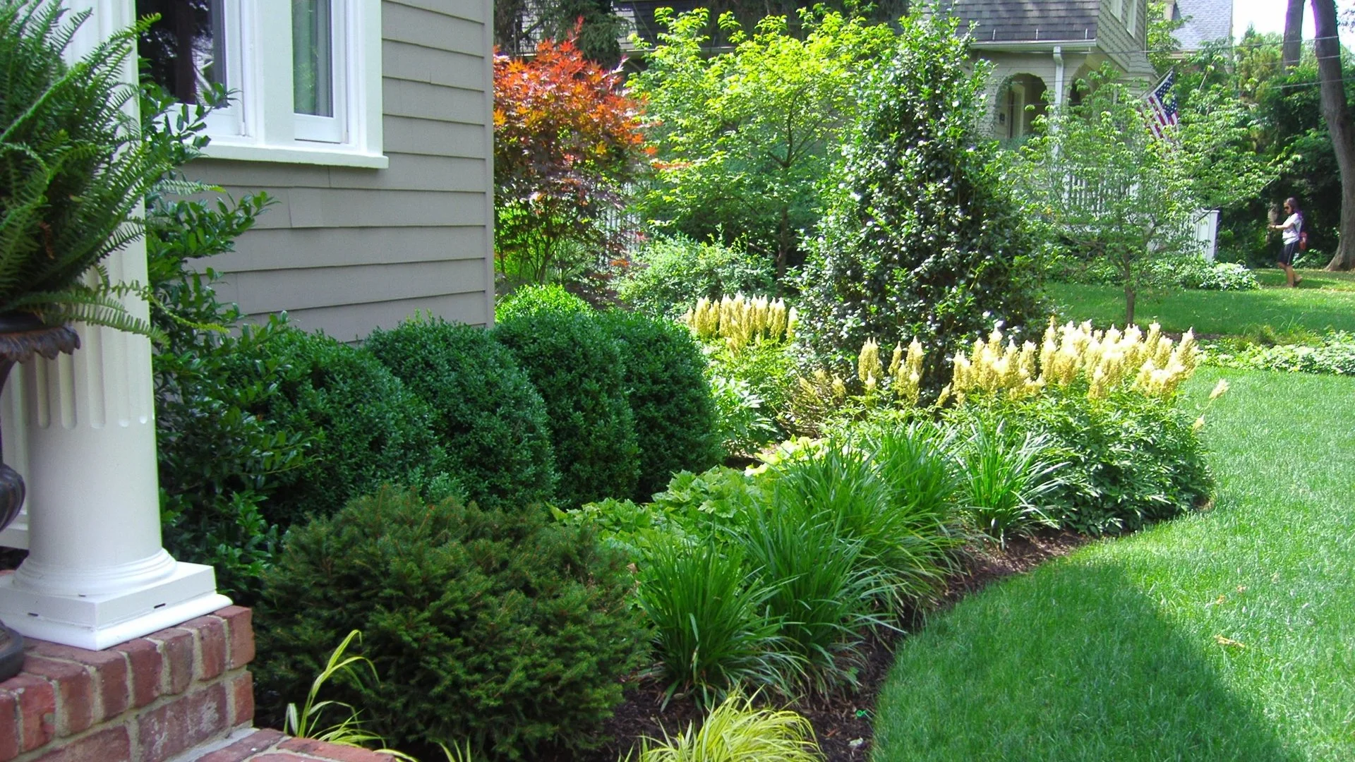 Elevate Your Curb Appeal by Keeping Your Plants Trimmed