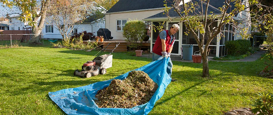 Yard cleanup services being performed for a yard in Watchung, NJ.