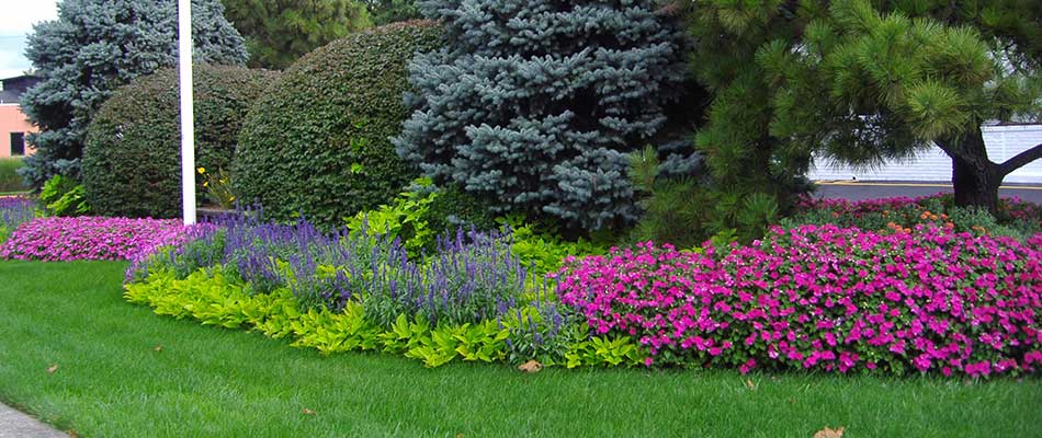 Custom landscaping for a business near Summit, NJ.