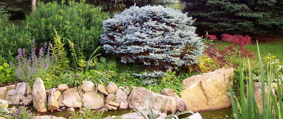 Why Now Is the Ideal Time to Plan Your 2020 Landscaping