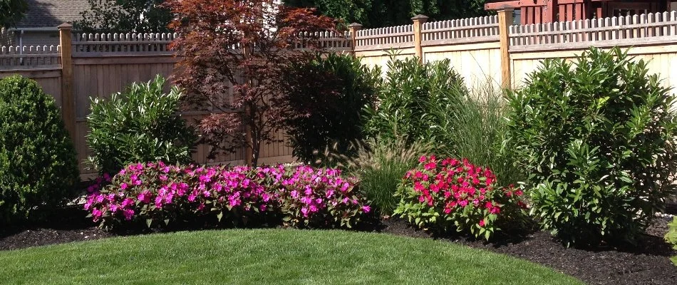 Mulch and plants in a landscape bed in Westfield, NJ.
