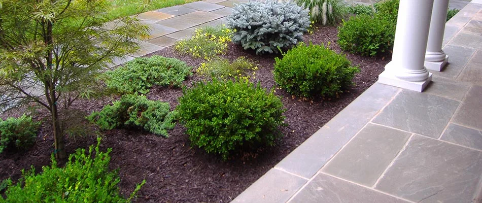 Mulch vs. Rock: Which is right for your landscape?