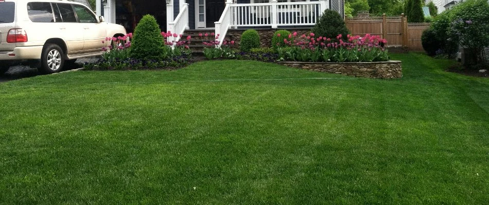 Green front lawn and landscape beds in Westfield, NJ.