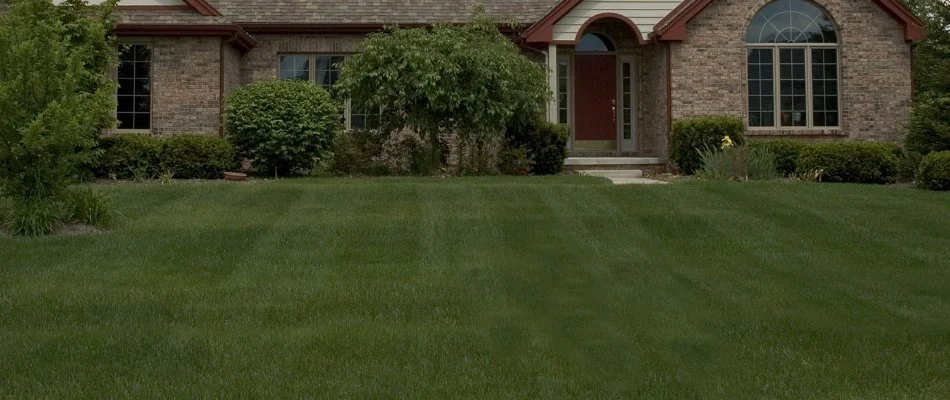 House in Westfield, NJ, with newly mowed lawn and plants.