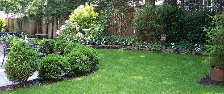 Nicely cut lawn in Westfield, NJ, surrounded by shrubs and plants.