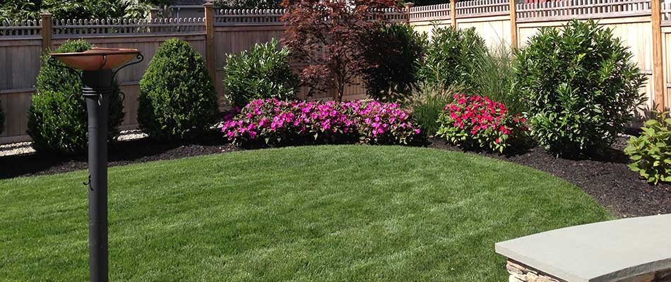 Healthy lawn at a residential property in Warren, NJ.