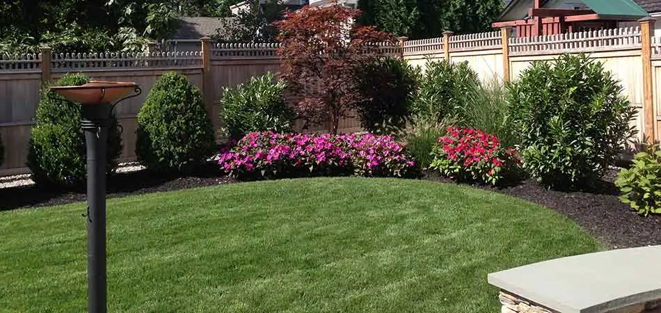 Thick lawn in Westfield, NJ using our lawn services.