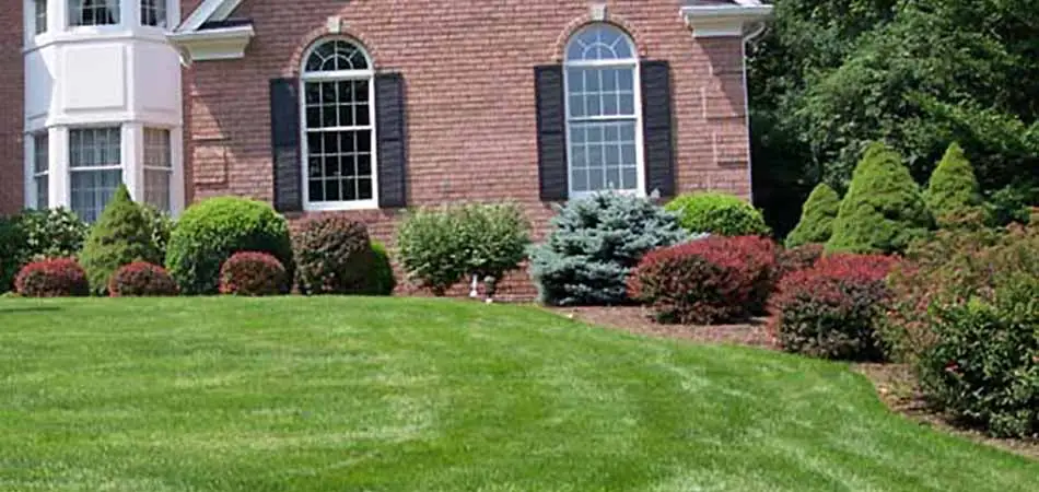 Homeowners in Watchung take the advice of keeping their lawns mowed, in order to avoid tick infestations.