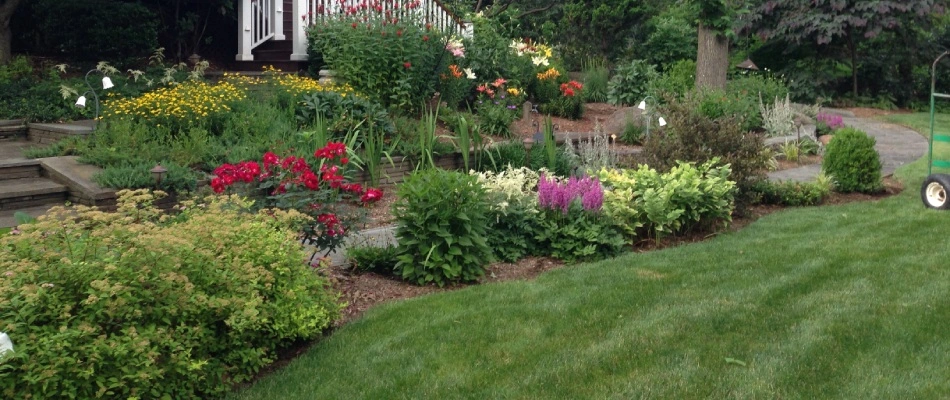 Plantings in softscapes with beautiful lawn in Mountainside, NJ. 