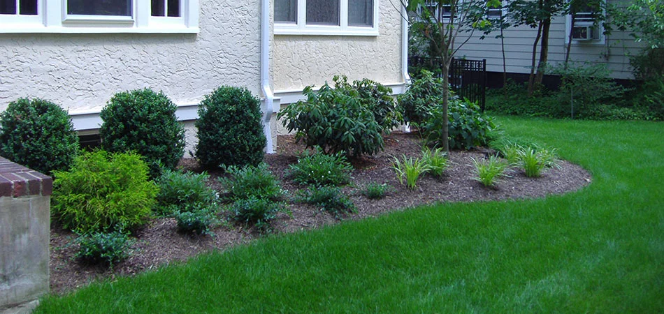 Thick lawn mulch and plant bed at Scotch Plains, NJ home.