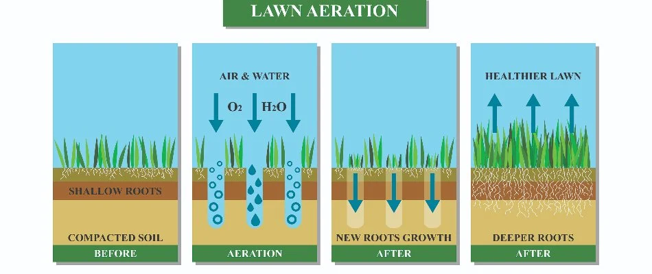 Aeration benefits graphic.