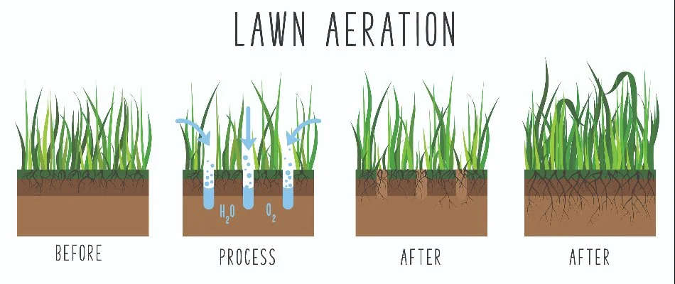 Before and after graphic for aeration results.