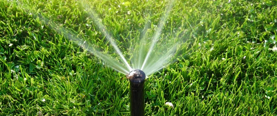 Irrigation system spraying water on a lawn in Westfield, NJ.