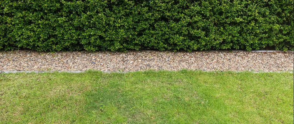 French drain on a property in Westfield, NJ.