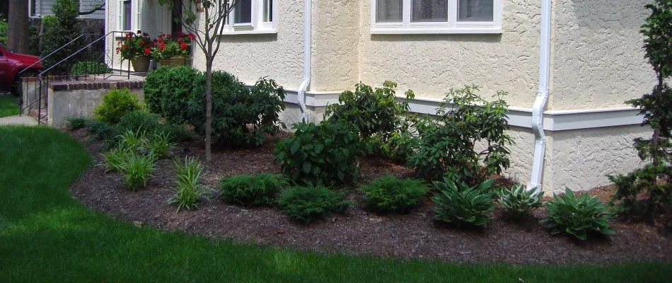 Mulch in front landscape on a property in Westfield, NJ.