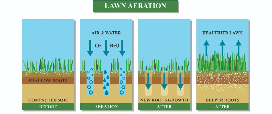 Graphic of the aeration process.