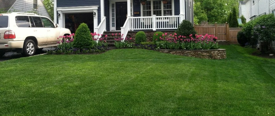 Healthy, green lawn on a residential property in Westfield, NJ.