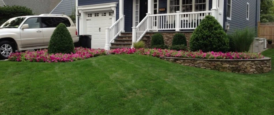 Manicured lawn and landscape on a property in Westfield, NJ.