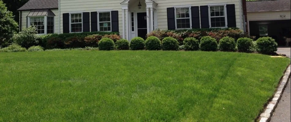 Healthy, green lawn on a property in Westfield, NJ.