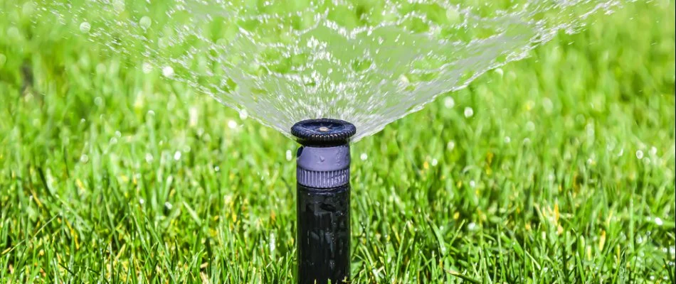Irrigation system watering sod on a property in Westfield, NJ.