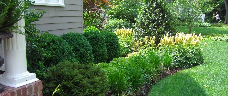 Landscape in Long Hill Township, NJ, with lush shrubs.