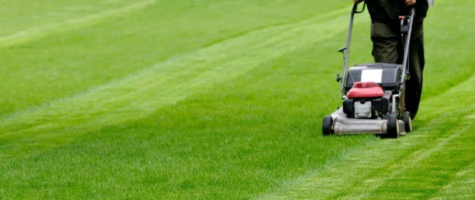 Person mowing lawn with a push mower on a property in Westfield, NJ.