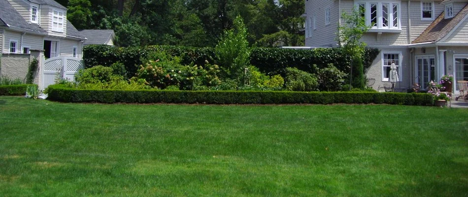 Lawn in Long Hill Township, NJ, with lush landscape.